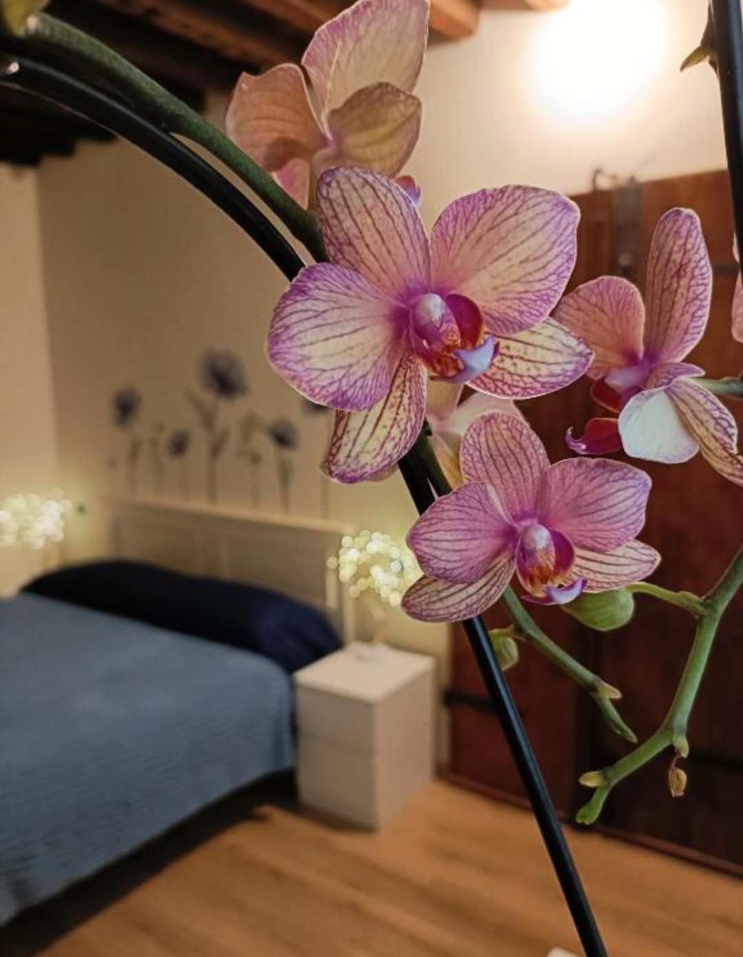 Il Giardino Segreto - immagine principale